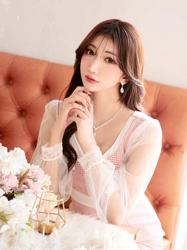 [SMLサイズ]ツイードチェックフロントラインチュール長袖タイトミニドレス[3サイズ展開]