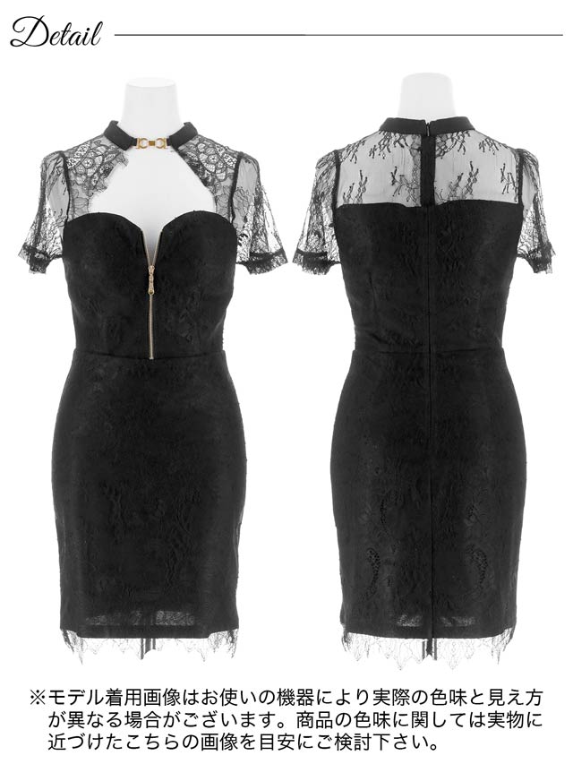 シアー総レースジップタイト半袖ミニドレス[SML/3サイズ展開]