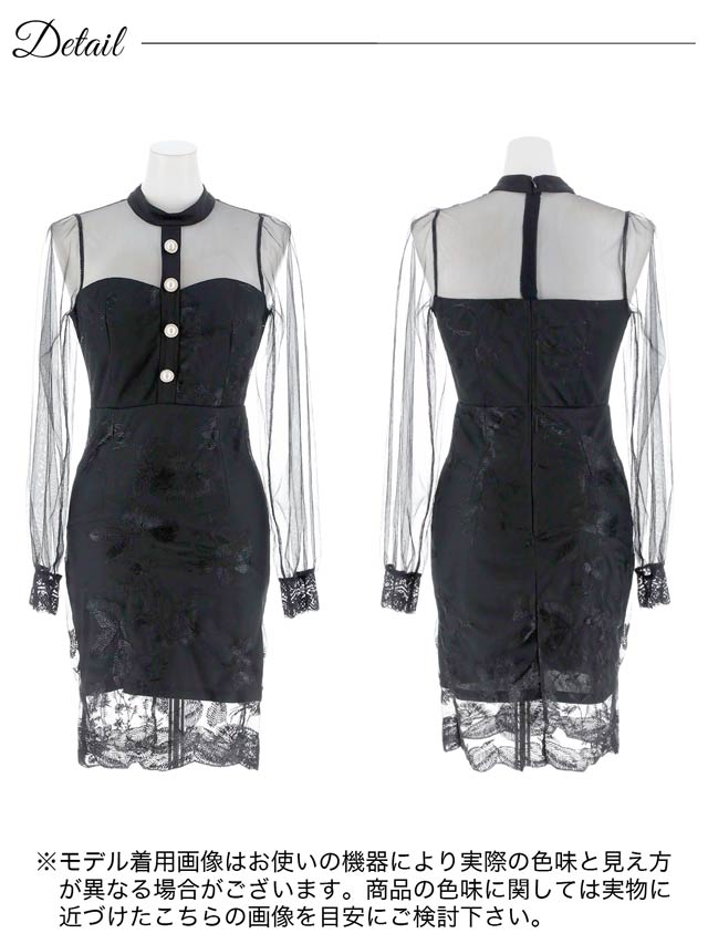 [SMLサイズ]ハイネックフラワー刺繍シアーロングスリーブタイトミニドレス[3サイズ展開]