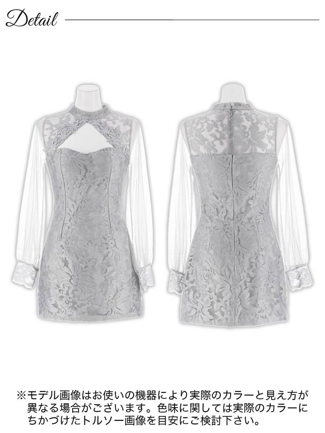 ジャガードフラワー刺繍ホールシアー長袖タイトミニドレス[SML/3サイズ展開]