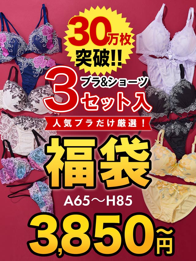 7/12再販!【福袋★ブラセット3点入】ブラジャー＆ショーツ3点組入り福袋[推し]