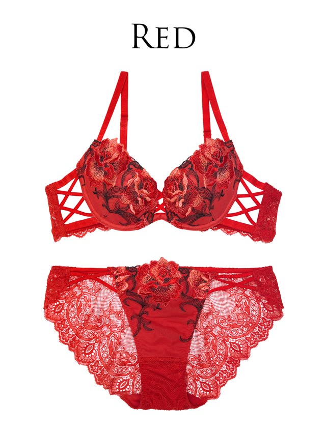 7/29再販!【Reinest】クラッシーディープローズブラジャー&バック透けフルバックショーツ[推し]